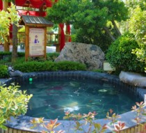 重阳敬老，“泉”享健康|揽翠湖九九重阳敬老TE惠即将开始……